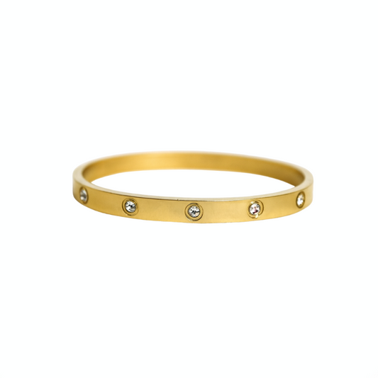 Brazalete Shine
