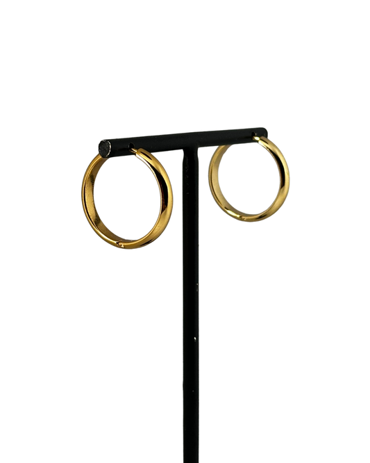 Aros Anne