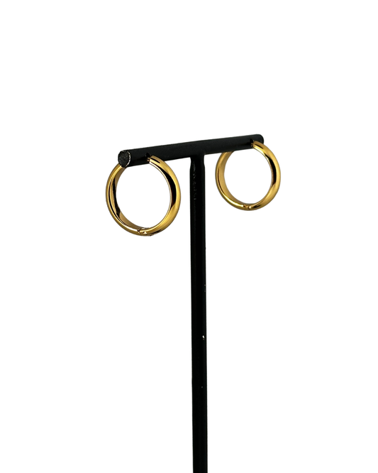 Aros Anne