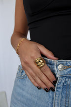 Anillo Vega