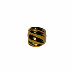 Anillo Vega