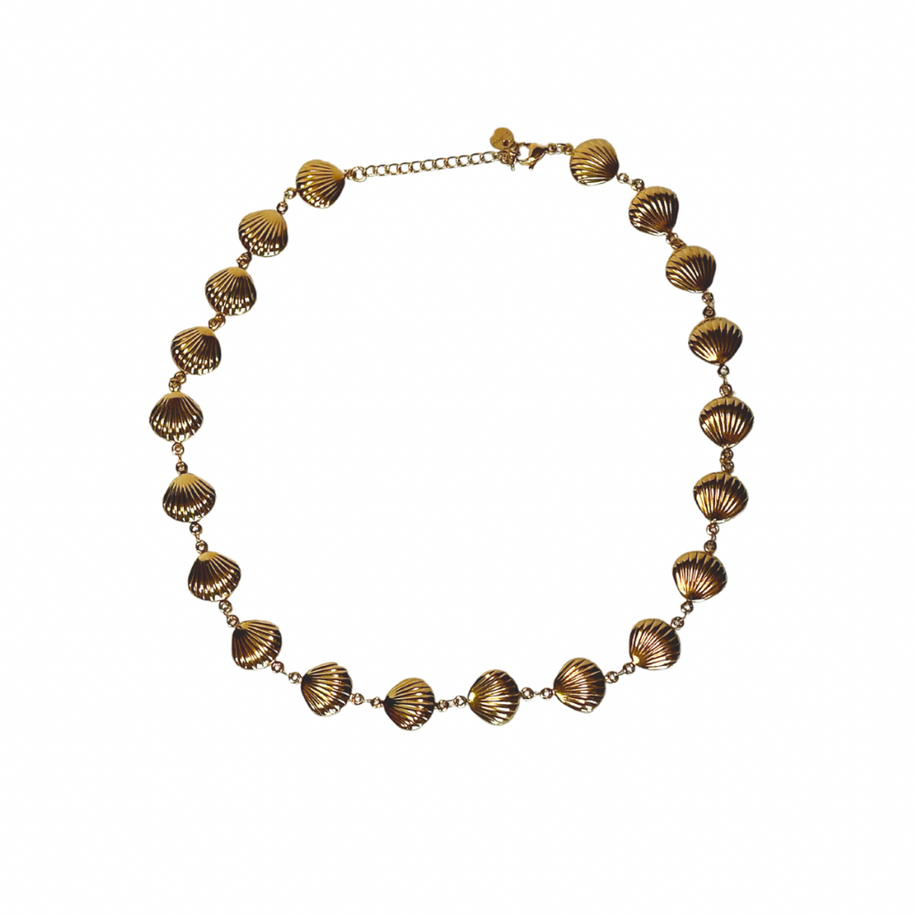 Collar Concha